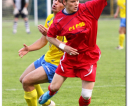 wybrane-stal-sanok-polonia-przemysl-20110430_028