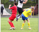 wybrane-stal-sanok-polonia-przemysl-20110430_029