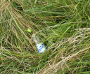 image017
