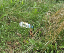 image019