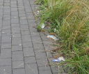 image020