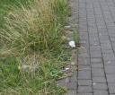 image025