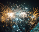 DSC_0361