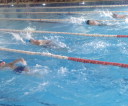 IMG-20231008-WA0022
