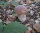 2012-10-13-873