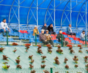 Fot.-Tomasz-SowaIMG_6986