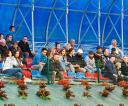 Fot.-Tomasz-SowaIMG_7120
