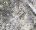image004