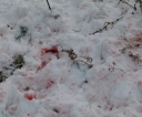 image002
