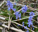 image009