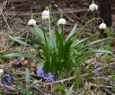 image011