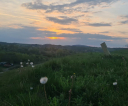 image003