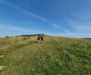 image013