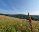 image030
