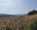 image036