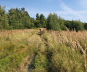 image038