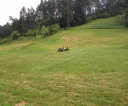 image019