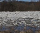 img_8289-resized