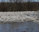 img_8294-resized