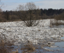 img_8299-resized