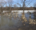 img_8300-resized