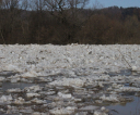 img_8303-resized