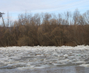 img_8319-resized