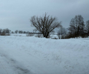 image006