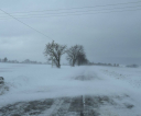 image013