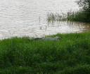 image012