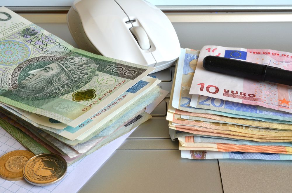 Wydatki w gr - pensja w ...
