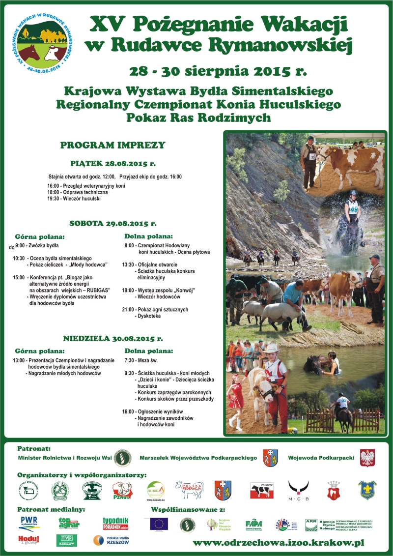 Plakat na imprezę 2015