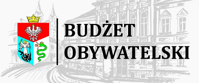 budzet
