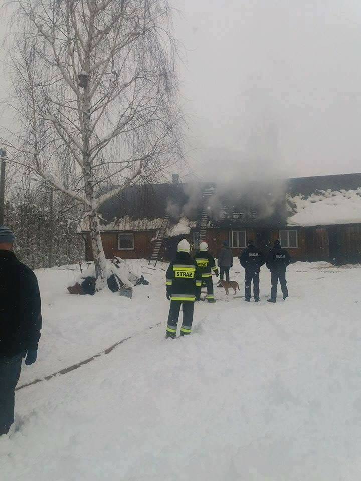 bukowiec3