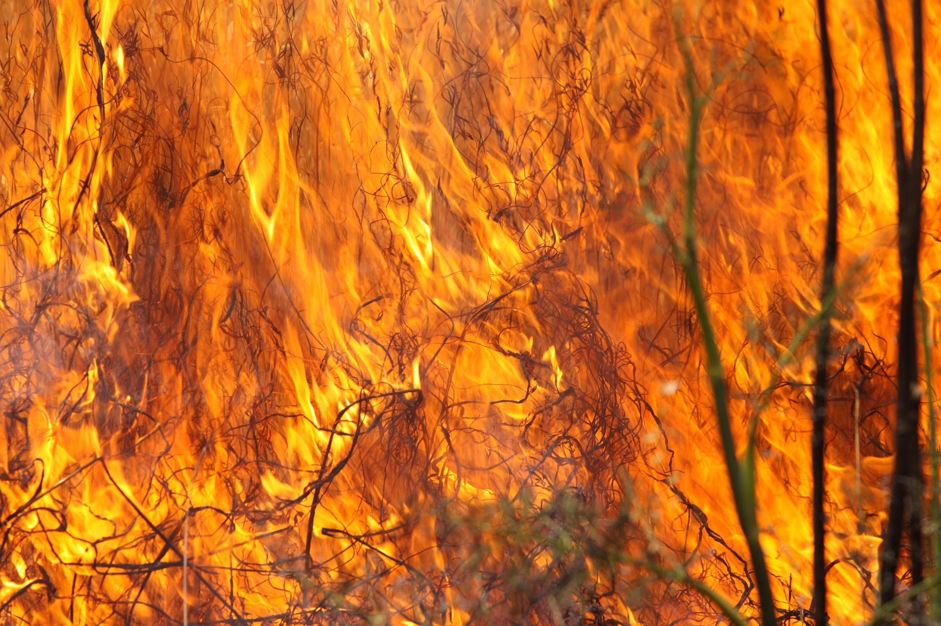 burning-grass-1165823_1920