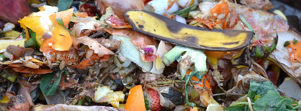 compost-709020_960_720