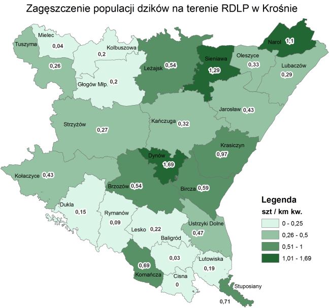dziki policzone