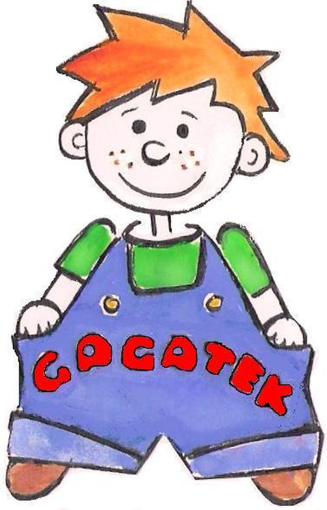 gagatek 2010 b