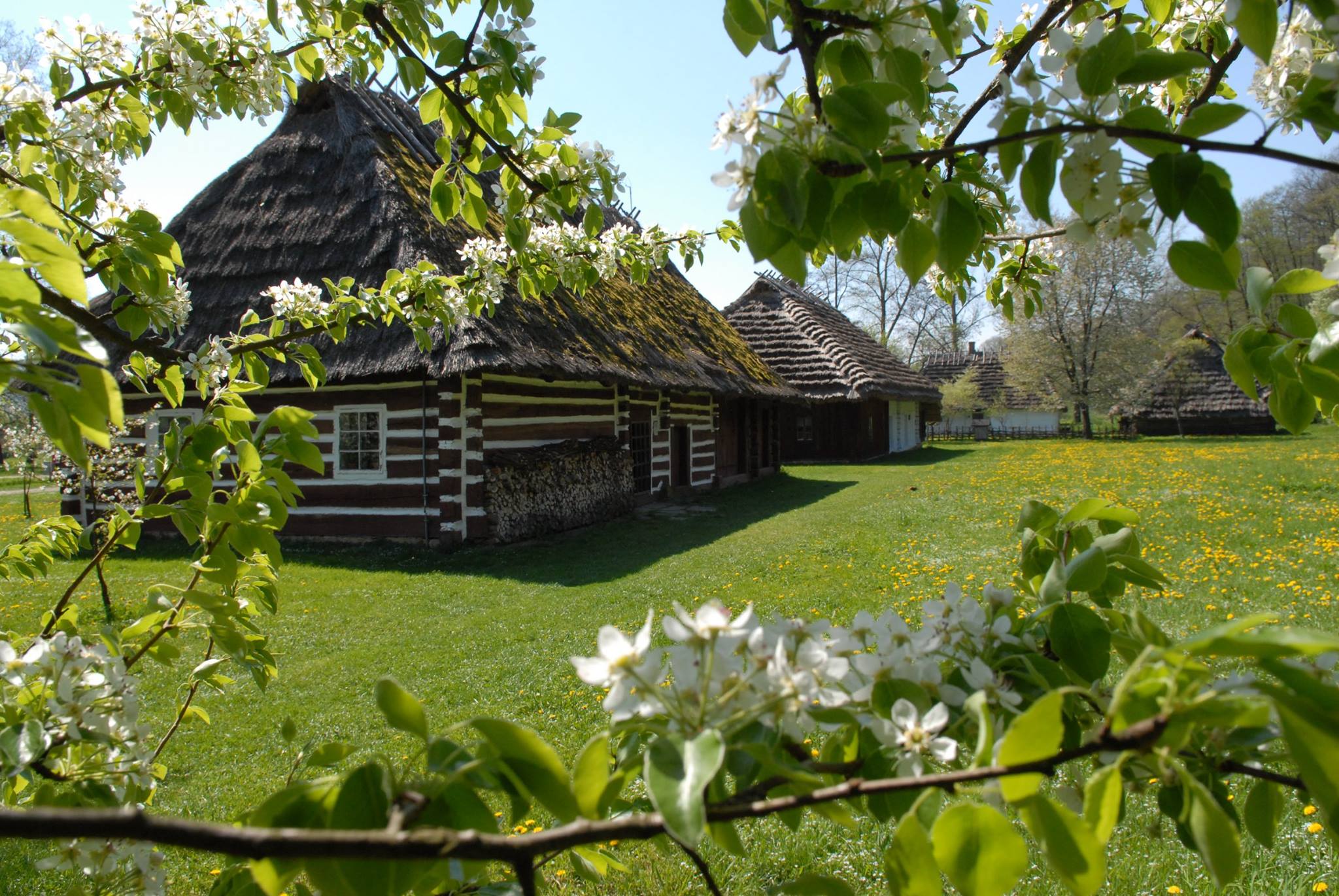 skansen