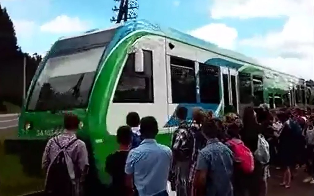 szynobos