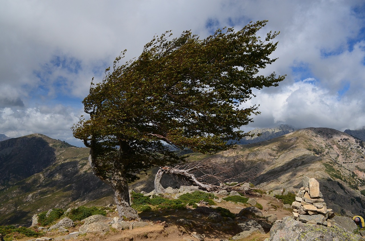 wind-953984_1280