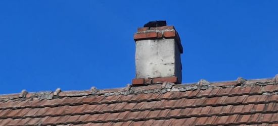 Mały kot wszedł na komin. Pomogli strażacy OSP (ZDJĘCIA)