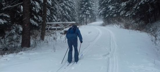 Zimowy las kusi – leśnicy zapraszają (ZDJĘCIA)