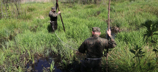 Szkolenie na mokradłach – szkolenie dla twardzieli (FOTO)