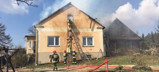 Pożar zamieszkałego domu. Akcja pięciu zastępów straży pożarnej (ZDJĘCIA)