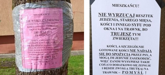SANOK. Wyrzucają jedzenie z okna bloku? Osiedlowy apel! (ZDJĘCIA)