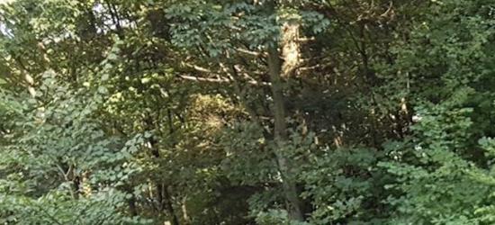 Kolędujcie razem z Esanok. II Sanocka Akcja Śpiewania Kolęd: Państwowa Straż Pożarna w Sanoku (FILM)