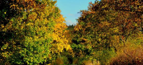 Bieszczady w barwach jesieni (ZDJĘCIA)