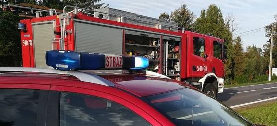 KRONIKA STRAŻACKA: Żmija w sklepie? Wypadek na kajaku i na traktorze