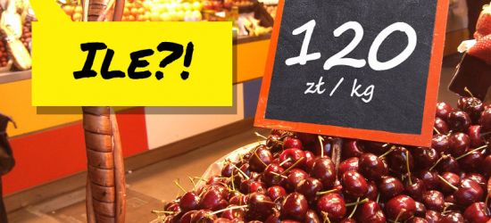 120 zł za kilogram czereśni?! Jakie ceny w Sanoku?